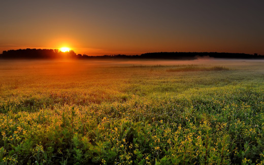 497618 (a): :2560x1600